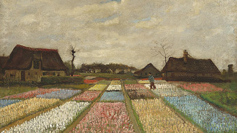 Flower Beds in Holland
