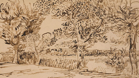 Landscape at Arles