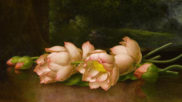 Lotus Flowers: a Landscape Painting in the Background