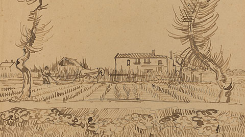 Ploughman in the Fields near Arles