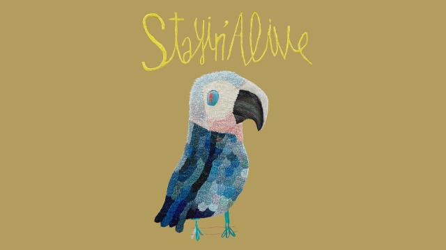 Stayin' Alive(spix Macaw)