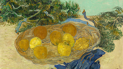 Still Life of Oranges And Lemons with Blue Gloves