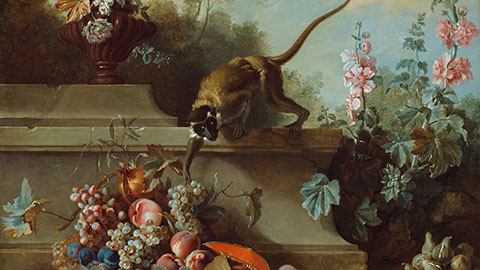 Still Life with Monkey Fruits And Flowers