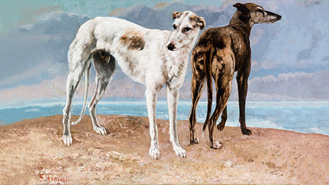 The Greyhounds of the Comte De Choiseul