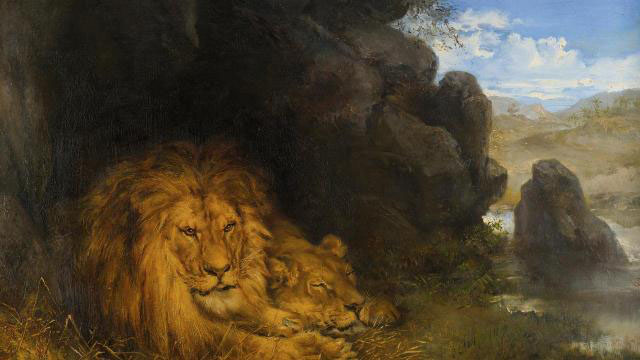 Two Lions in a Cave