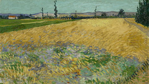 Wheat Field with the Alpilles Foothills
